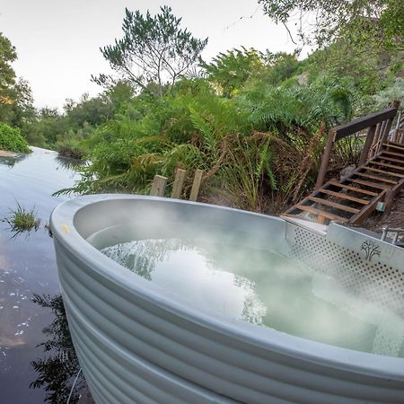 The Fernery Lodge & Spa Stormsrivier Esterno foto