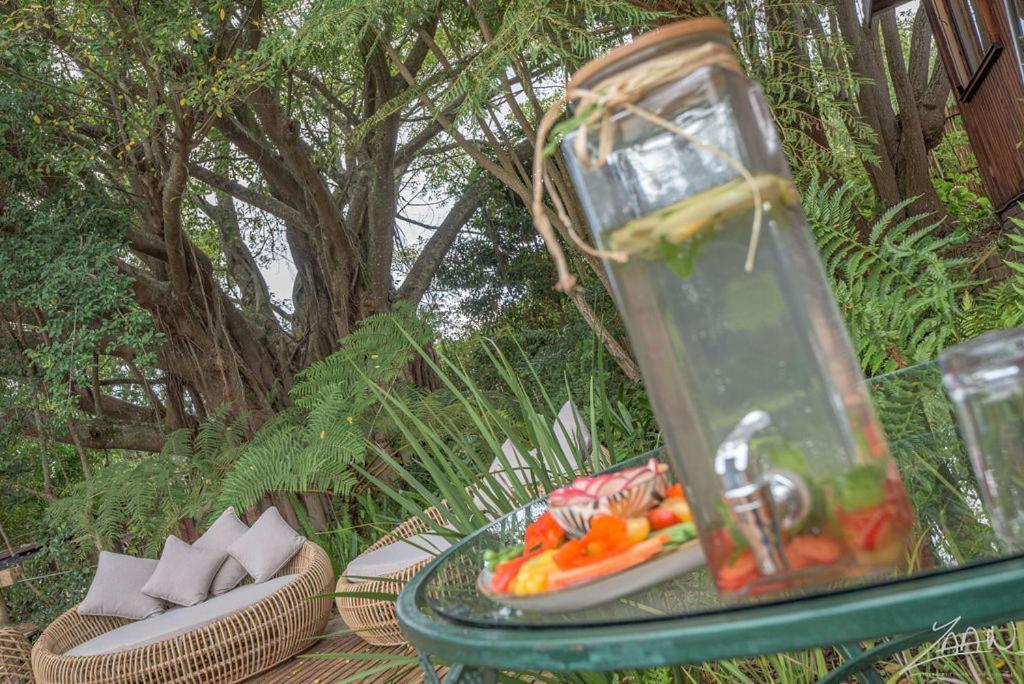 The Fernery Lodge & Spa Stormsrivier Esterno foto