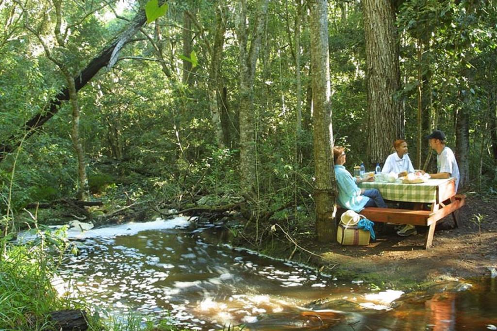 The Fernery Lodge & Spa Stormsrivier Esterno foto