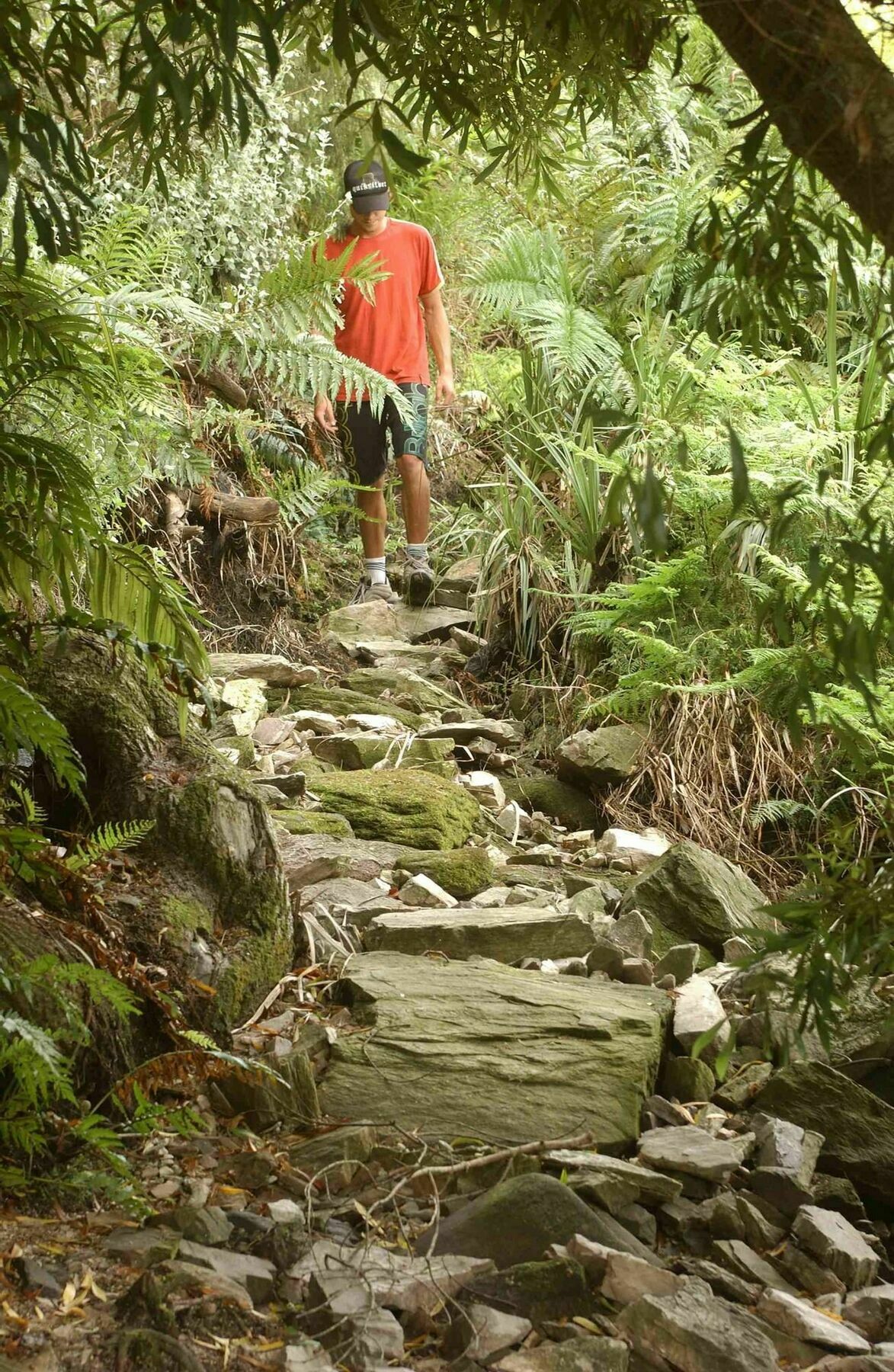 The Fernery Lodge & Spa Stormsrivier Esterno foto