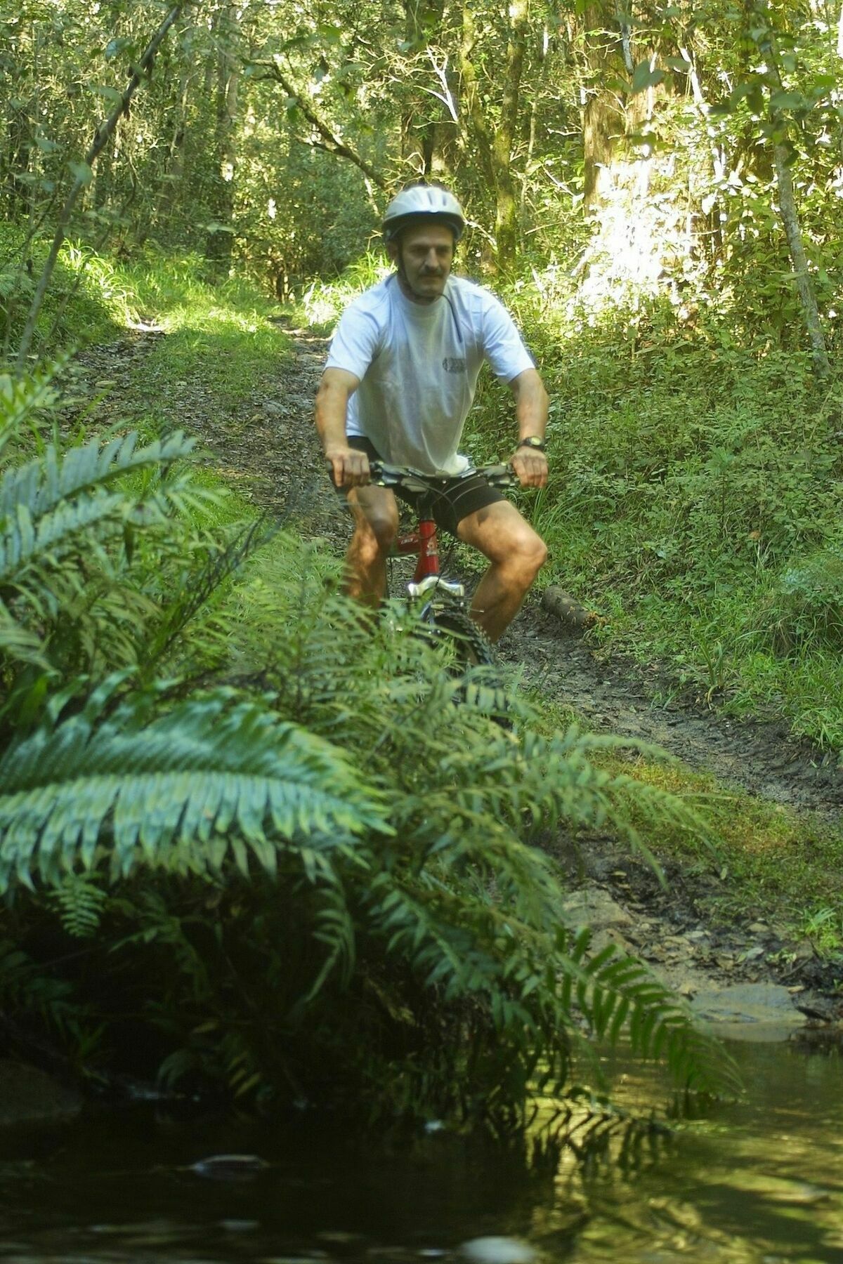 The Fernery Lodge & Spa Stormsrivier Esterno foto