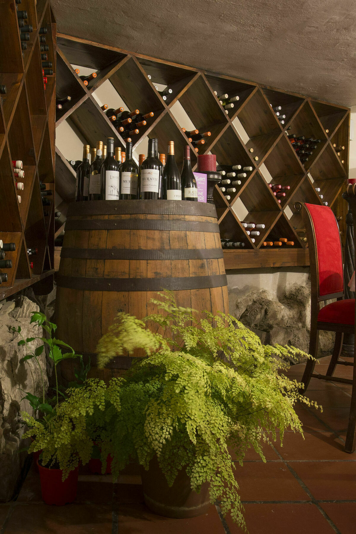 The Fernery Lodge & Spa Stormsrivier Esterno foto